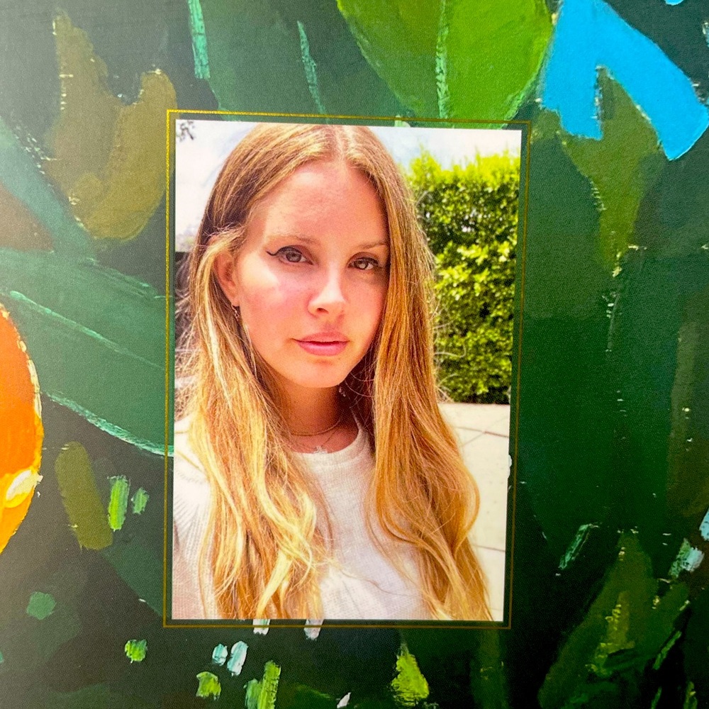 NEW Lana Del Rey Poetry Book